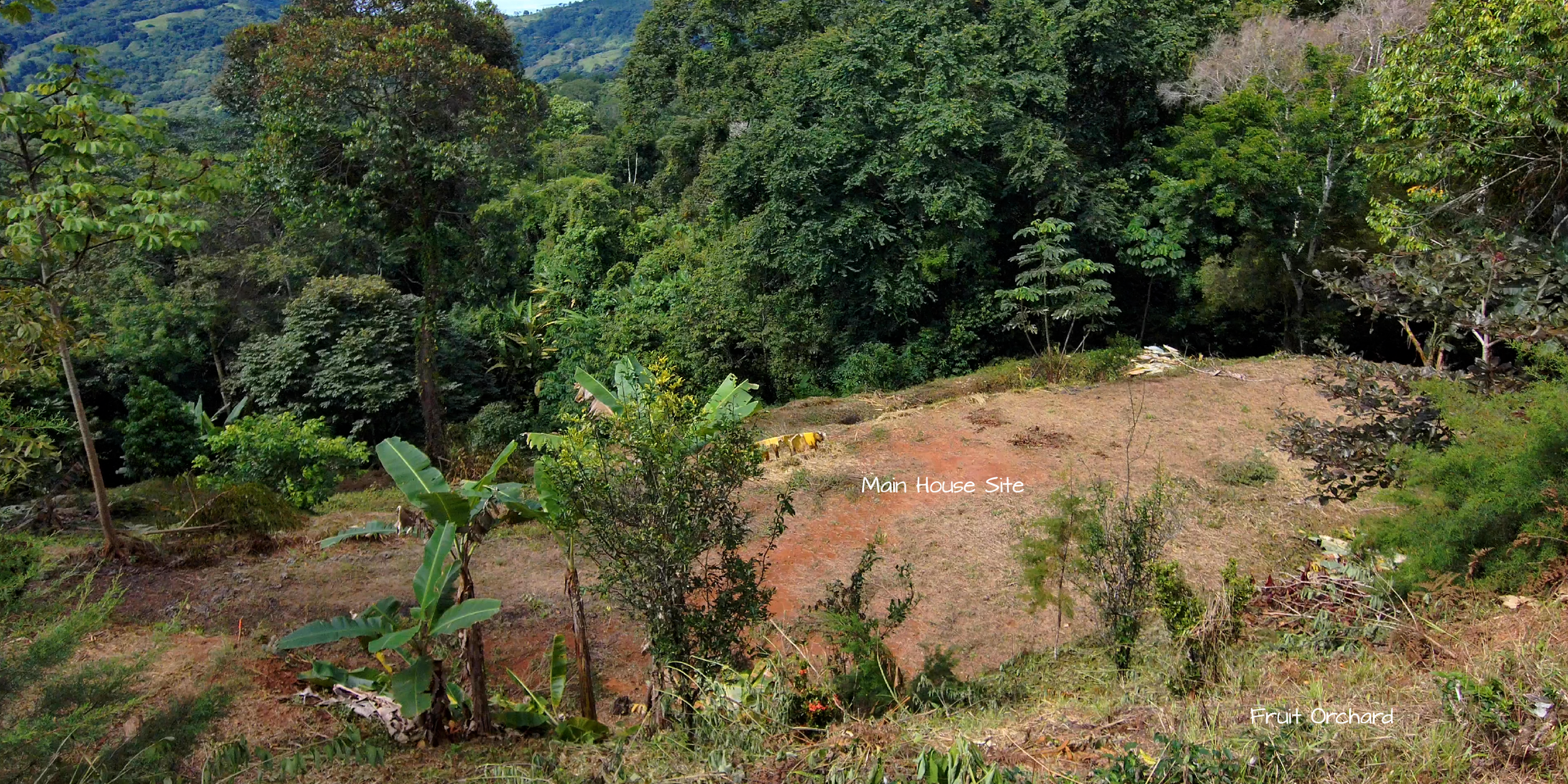 Project Overview for Casa Cavu Residential Home and Investment Rental in Dominical, photo 7