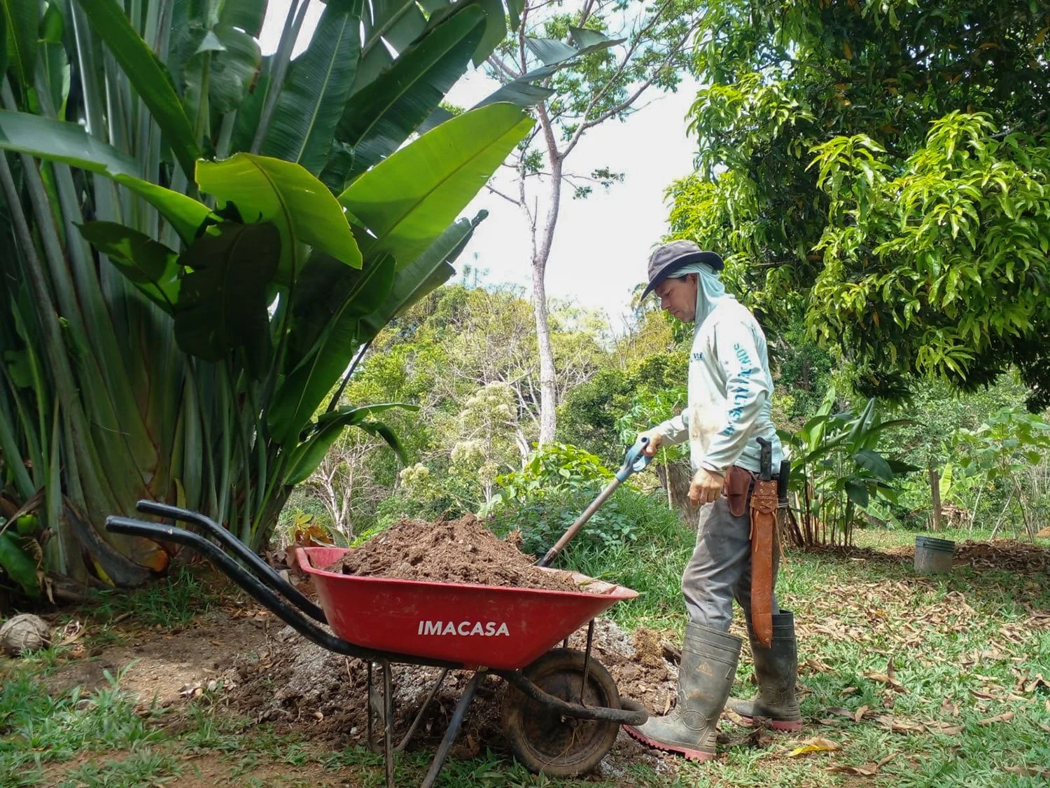 Cavu Vivero –Our New Sustainable Green House Nursery in Costa Rica, photo 8