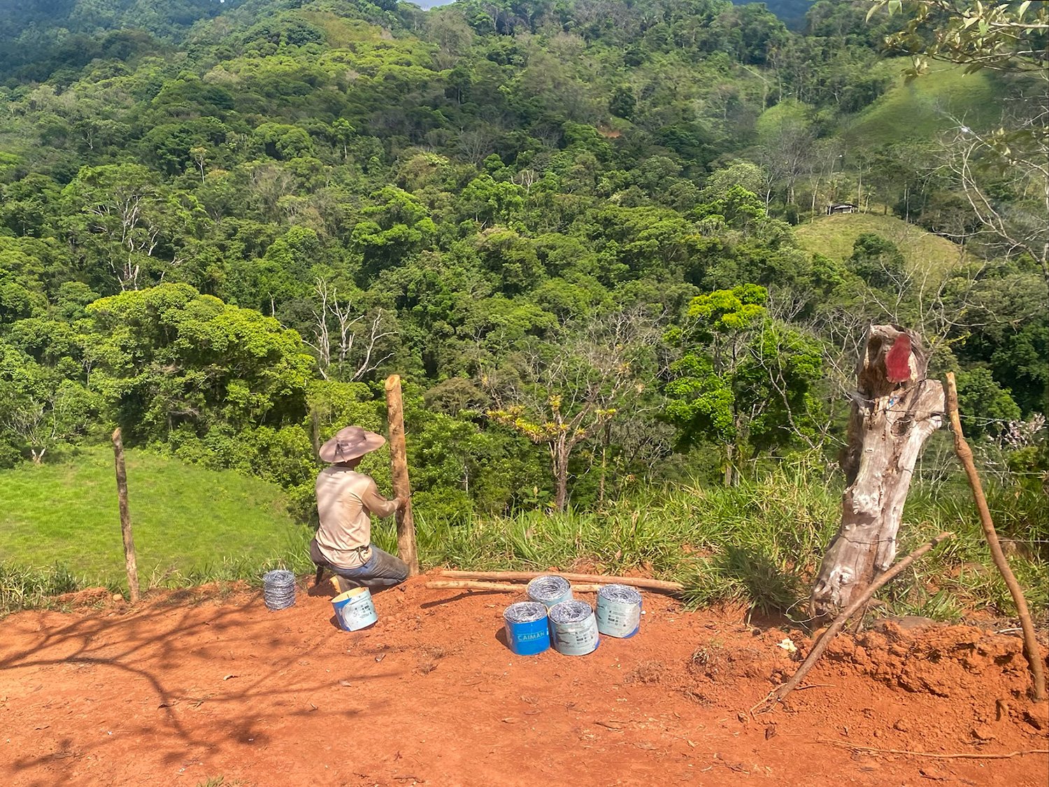 Cattle Grazing and Fencing system added at Finca Magnolia to prevent erosion, photo 3