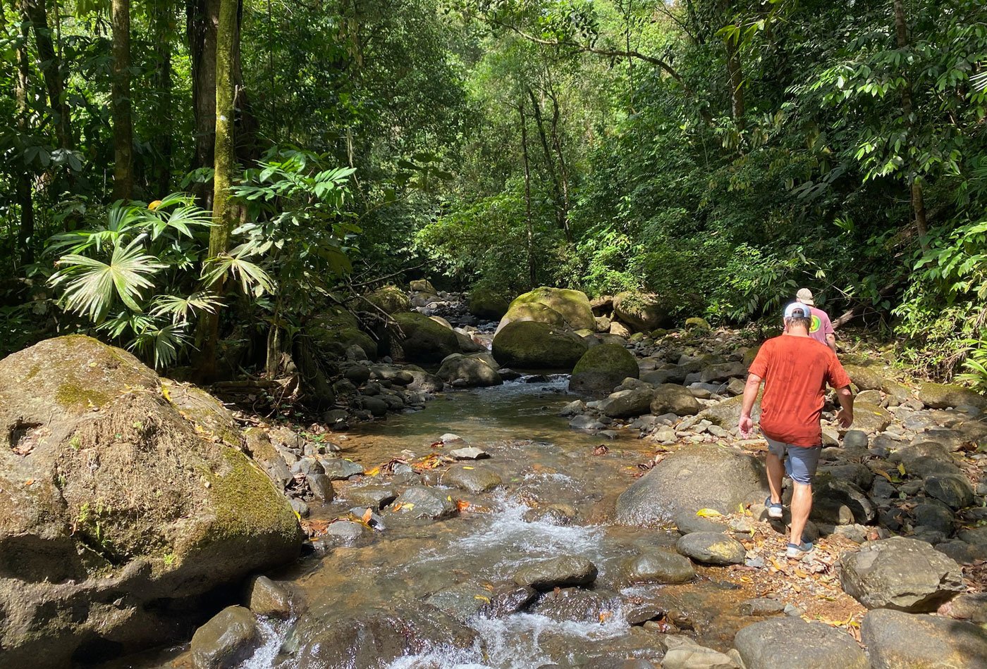 Hiking trails cut through the jungle to access swimming areas –Finca Magnolia, photo 4