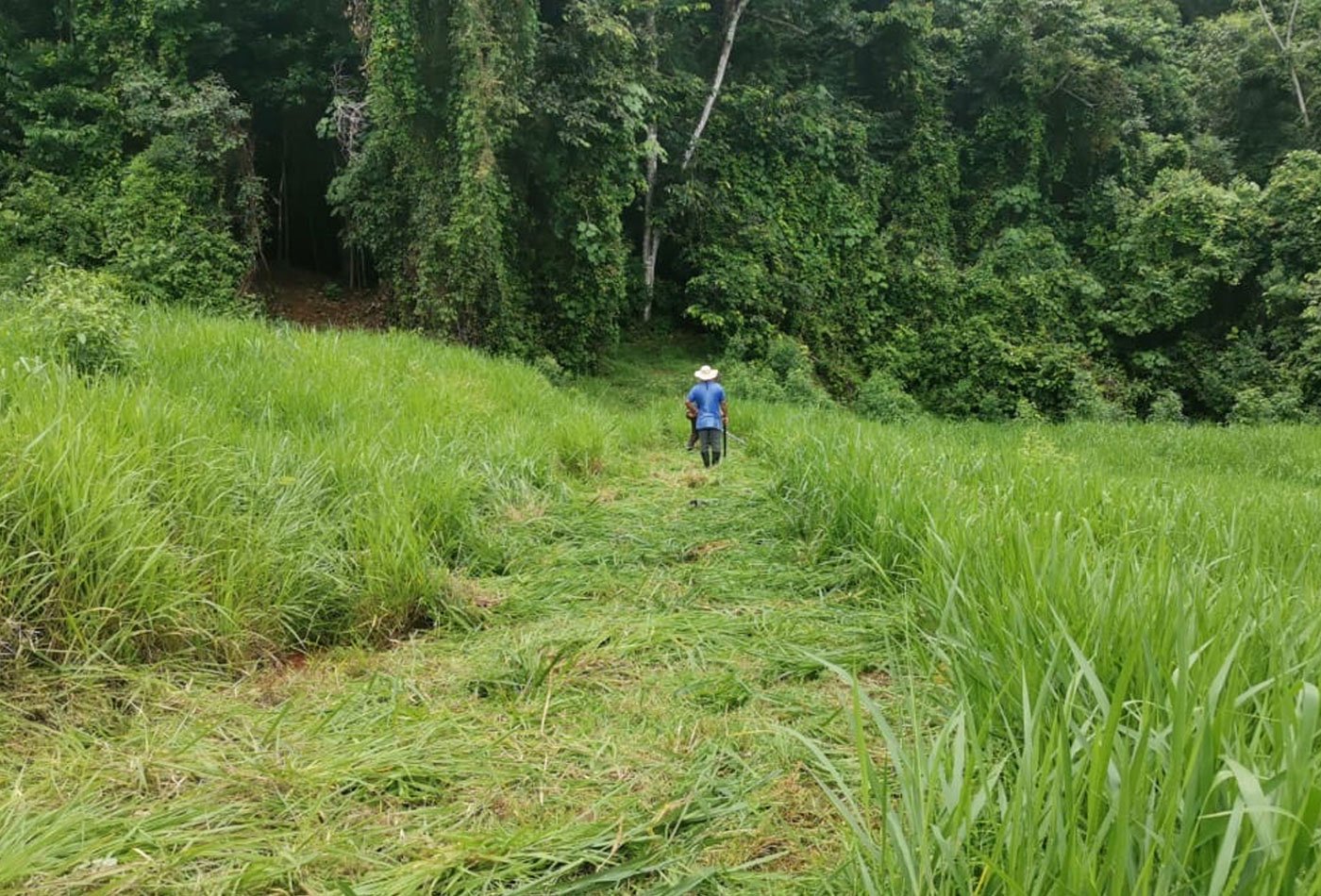 Hiking trails cut through the jungle to access swimming areas –Finca Magnolia, photo 2